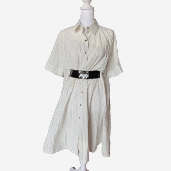 Corey Lynn Calter Women’s Ivory & Black Pinstripe Belted Shirt Dress Size 4 - Picture 1 of 7